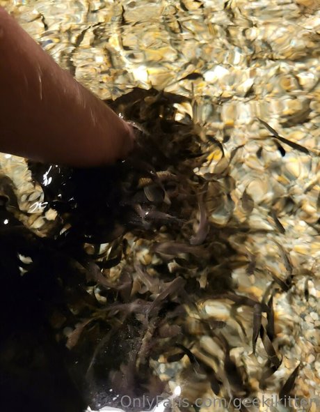 geekikitten nudes actress images