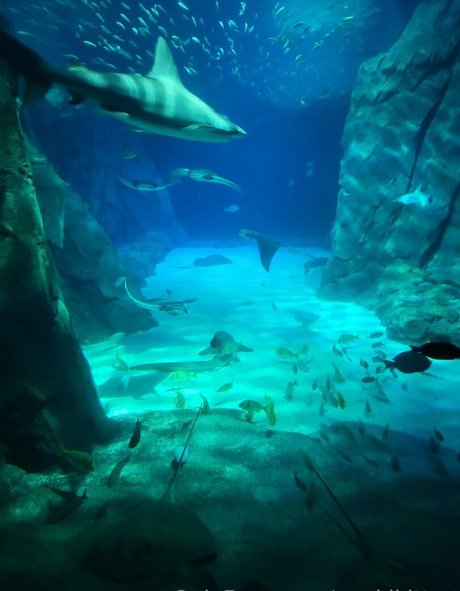 geekikitten star sex photos