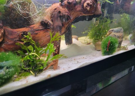 geekikitten sexy model pic