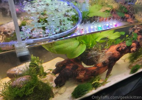 geekikitten sexy model gallery