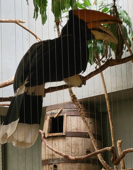 geekikitten star hd images