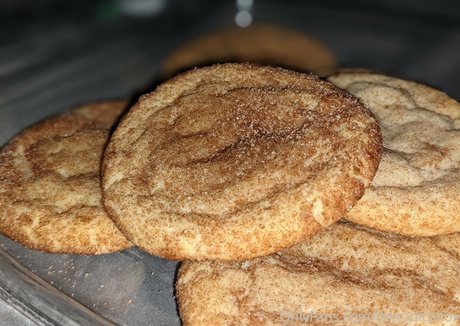 theradicalfox pornographic actress pics