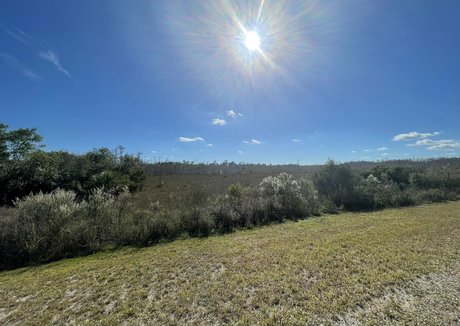 iambigduch pornstar hd pictures