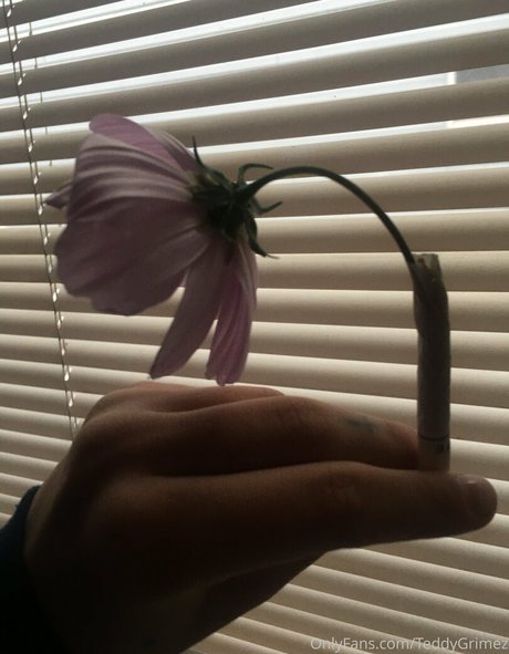 lewdology xxx actress photos