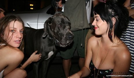 Katy Perry exclusive pornstar img
