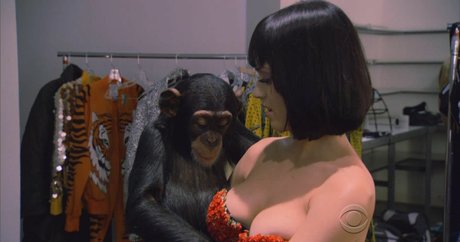 average onlyfans naked pics