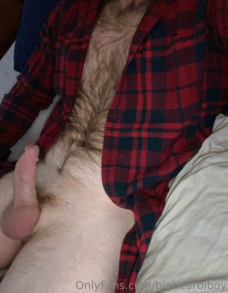 bigbearbiboy hd pornstar galleries