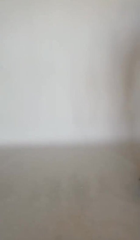 Britney Spears pornographic star picture