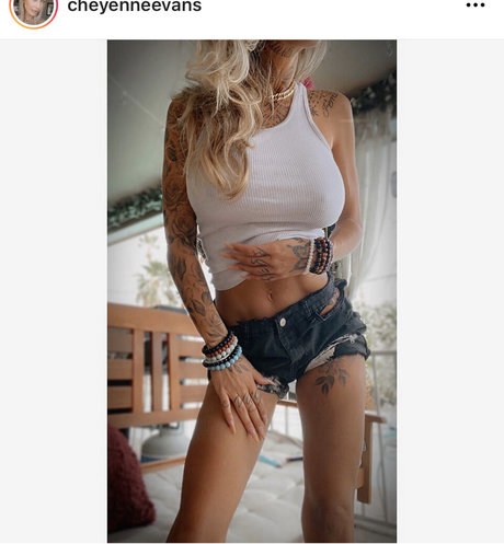 Cheyenne Evans star art img