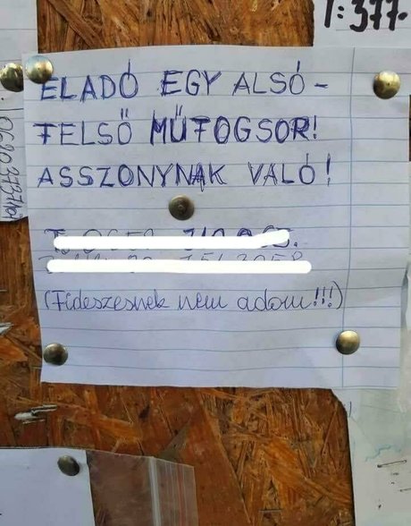 kata31 nudes model gallery