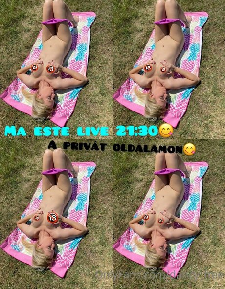 dancy free art star galleries