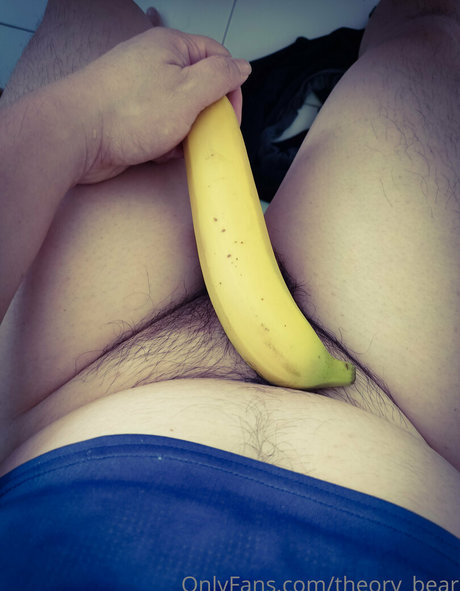 theory bear model adult picture