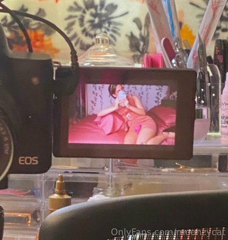 Moonzycat model best archive