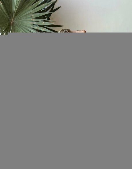 lems7free top model image