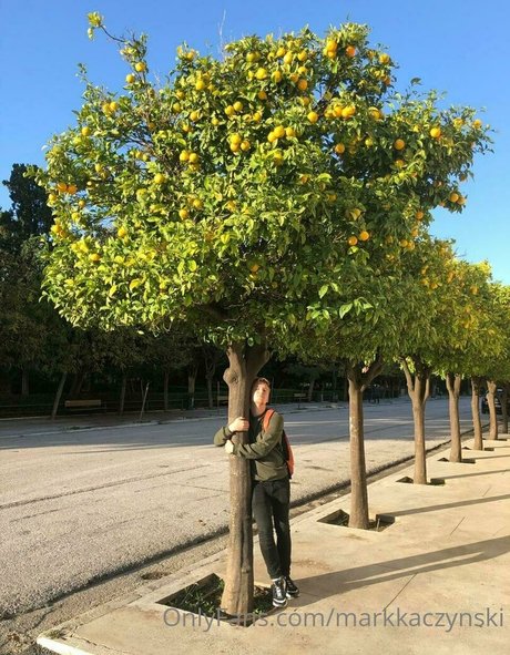 markkaczynski star top pic