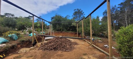 leaandbear star hot pic