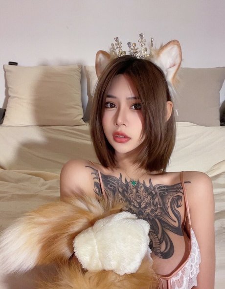 Deer white star high quality galleries