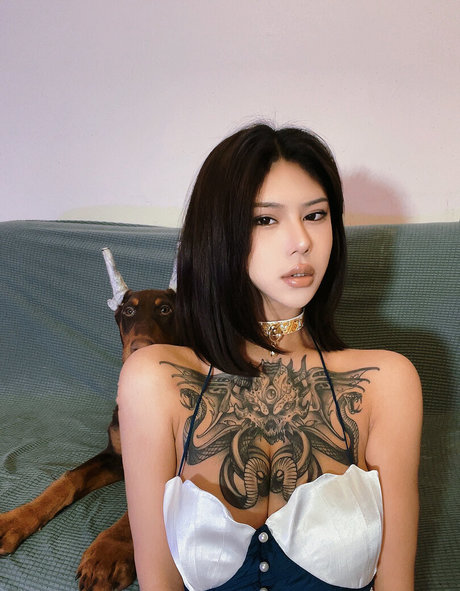 Deer white model perfect images