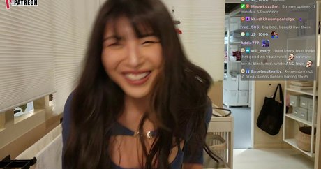 Meowko best star picture