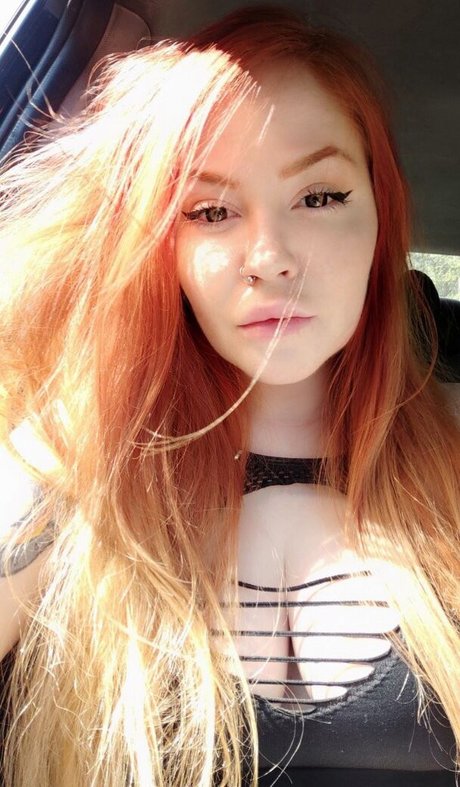 Margaritadirge hd model picture