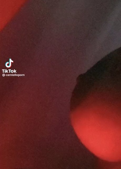 Carniello nice star gallery