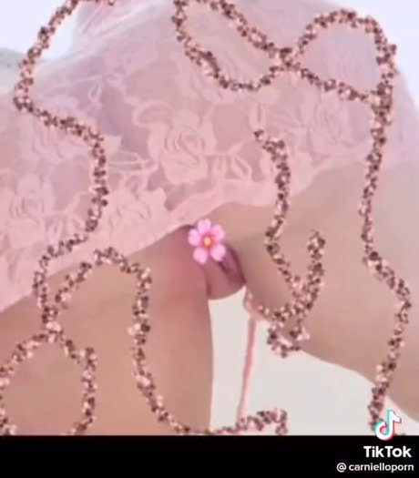 Carniello perfect pornstar image