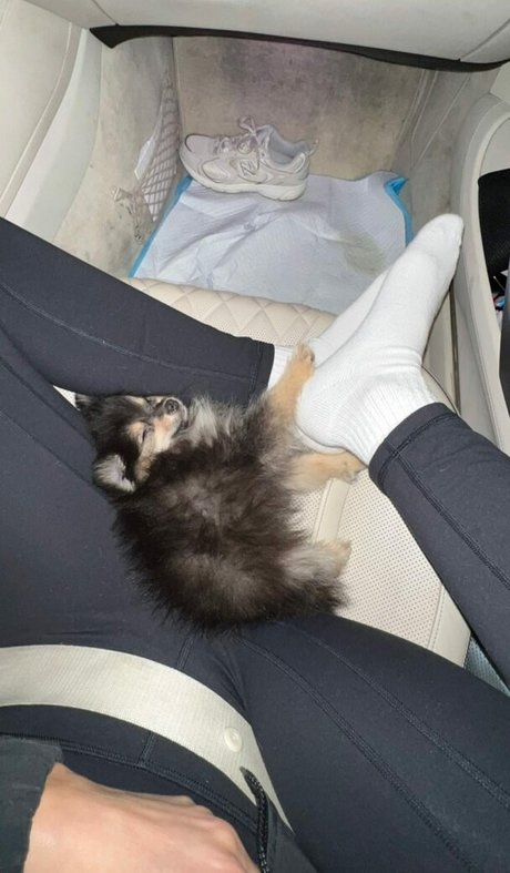 Sssniperwolf star nude galleries