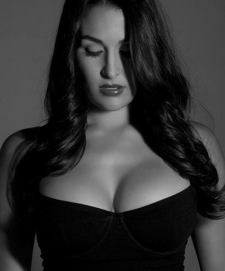 The Bella Twins_ pornstar hot image