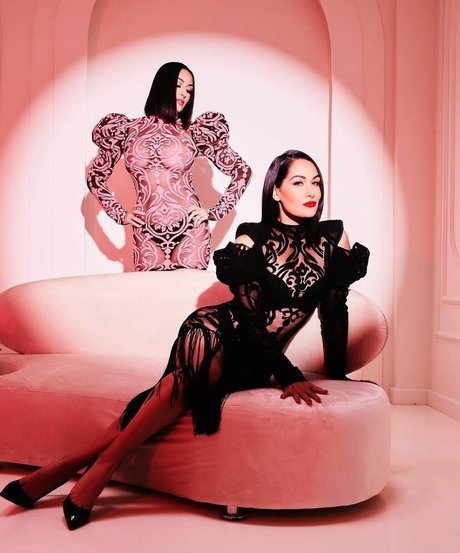 The Bella Twins_ high quality pornstar photos