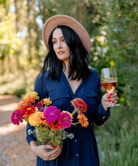 The Bella Twins_ actress archive