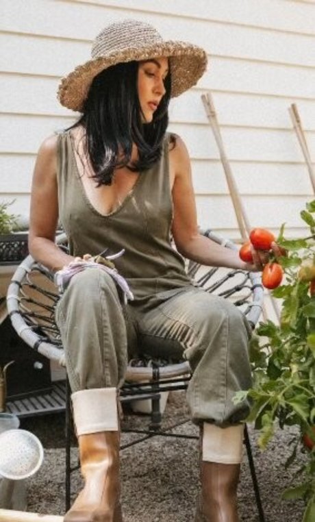 The Bella Twins_ beautiful star image