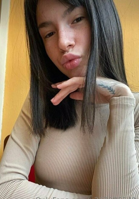 stacykimmo star gallery