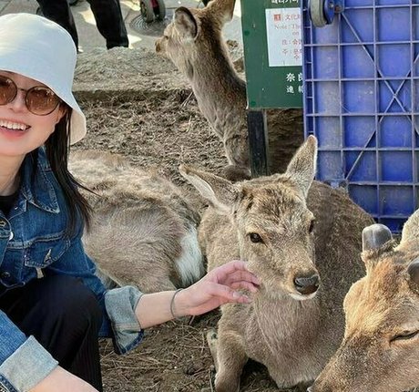 shodogirl model picture