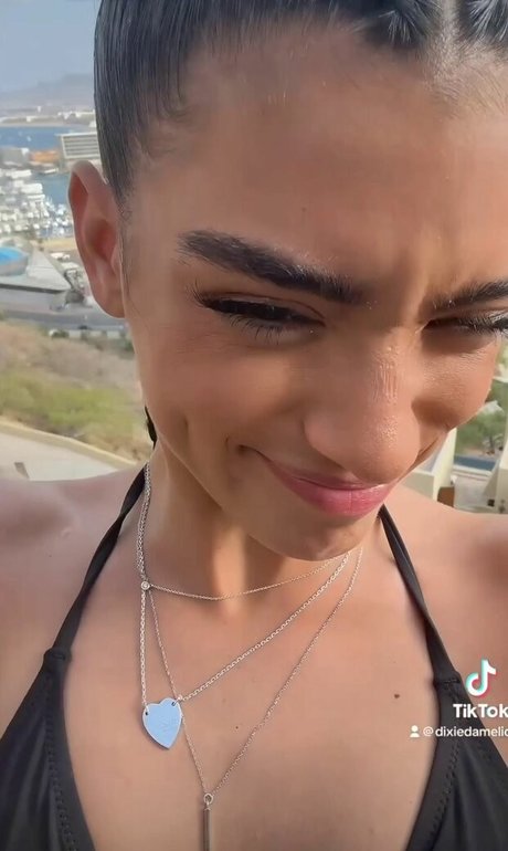 Dixie D Amelio nude star picture