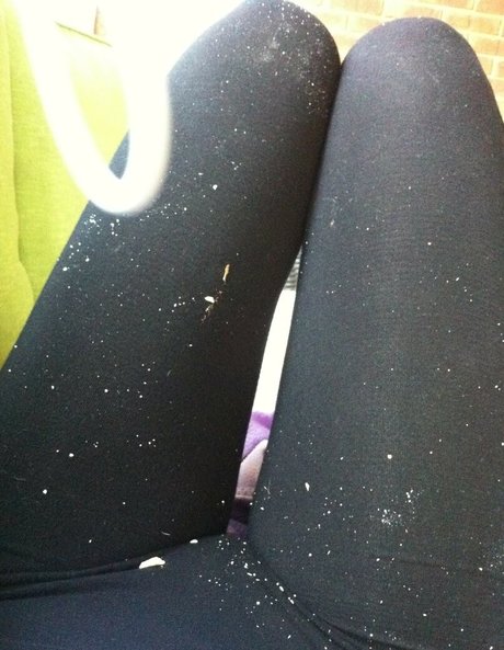 Jennifer Lawrence sexy actress galleries