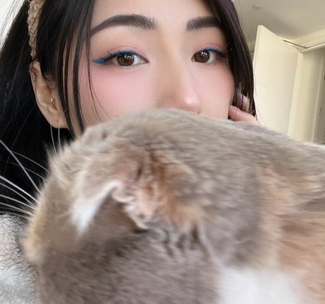 xChocobars best star gallery