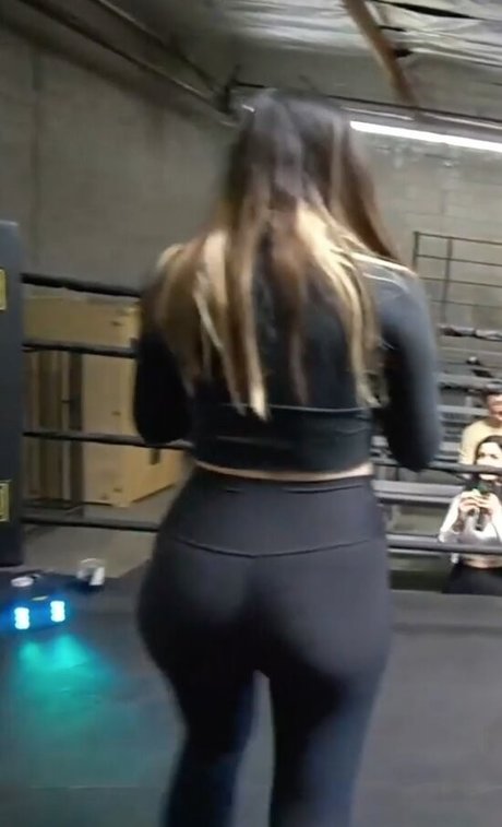 xChocobars model nice archive