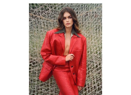 Kaia Gerber pornstar top picture