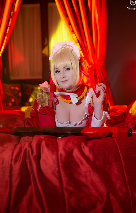 Shappi workshop model top images