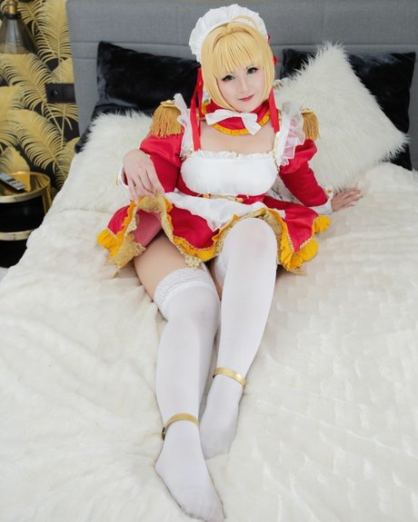 Shappi workshop model best photos