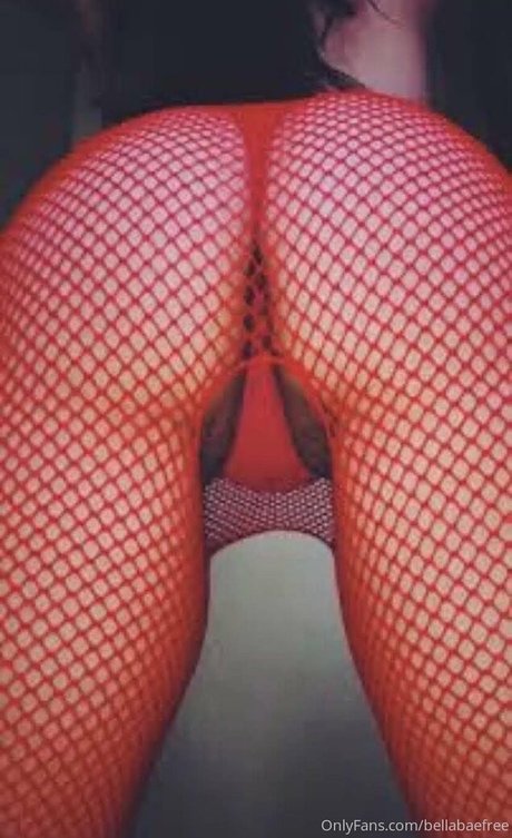 bellabaefree pornographic actress gallery