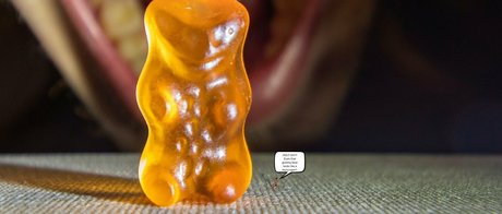 macrocole top star images