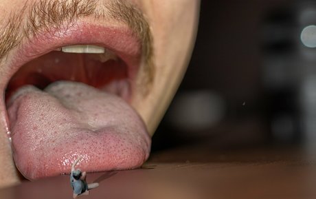 macrocole model hd images