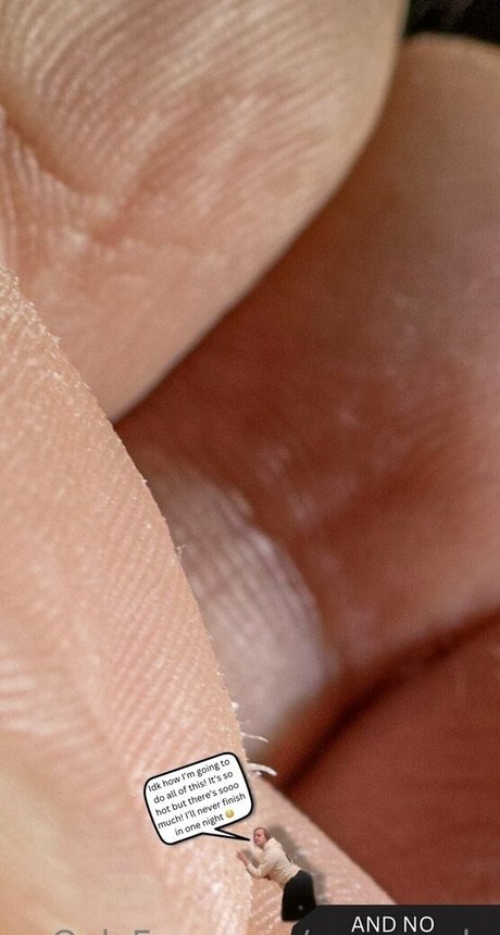 macrocole star adult image