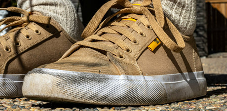 macrocole star porn image