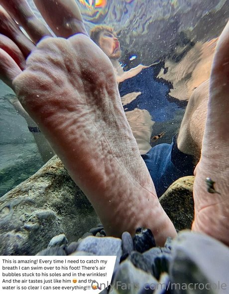 macrocole exclusive star img