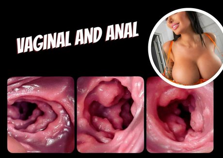 diamondzvip nice star archive