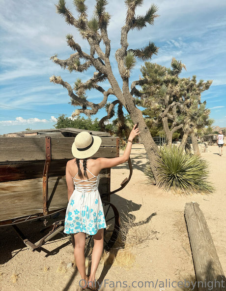 alicebynight adult star photo