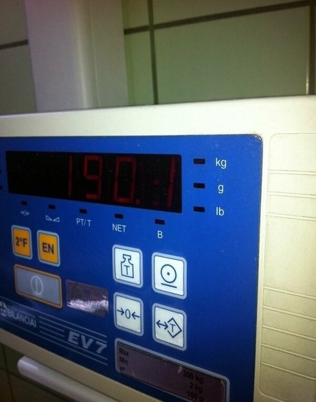 barbiessbbw star nudes photo