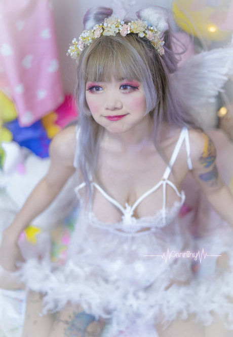 Canniny best star images